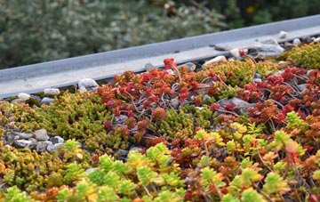 the cost of Ruardean Hill green roof installation