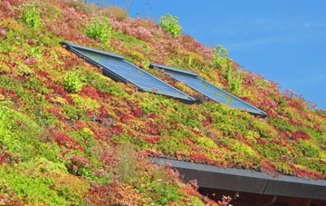 Ruardean Hill living roof systems